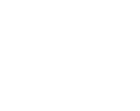 TerraGis Logo